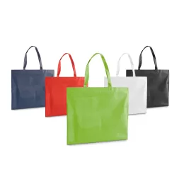 Sacola em non-woven SP22905